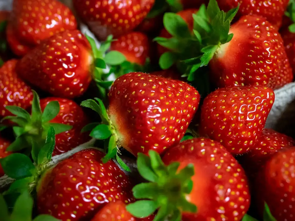 Fresas: Una Deliciosa y Nutritiva Fruta