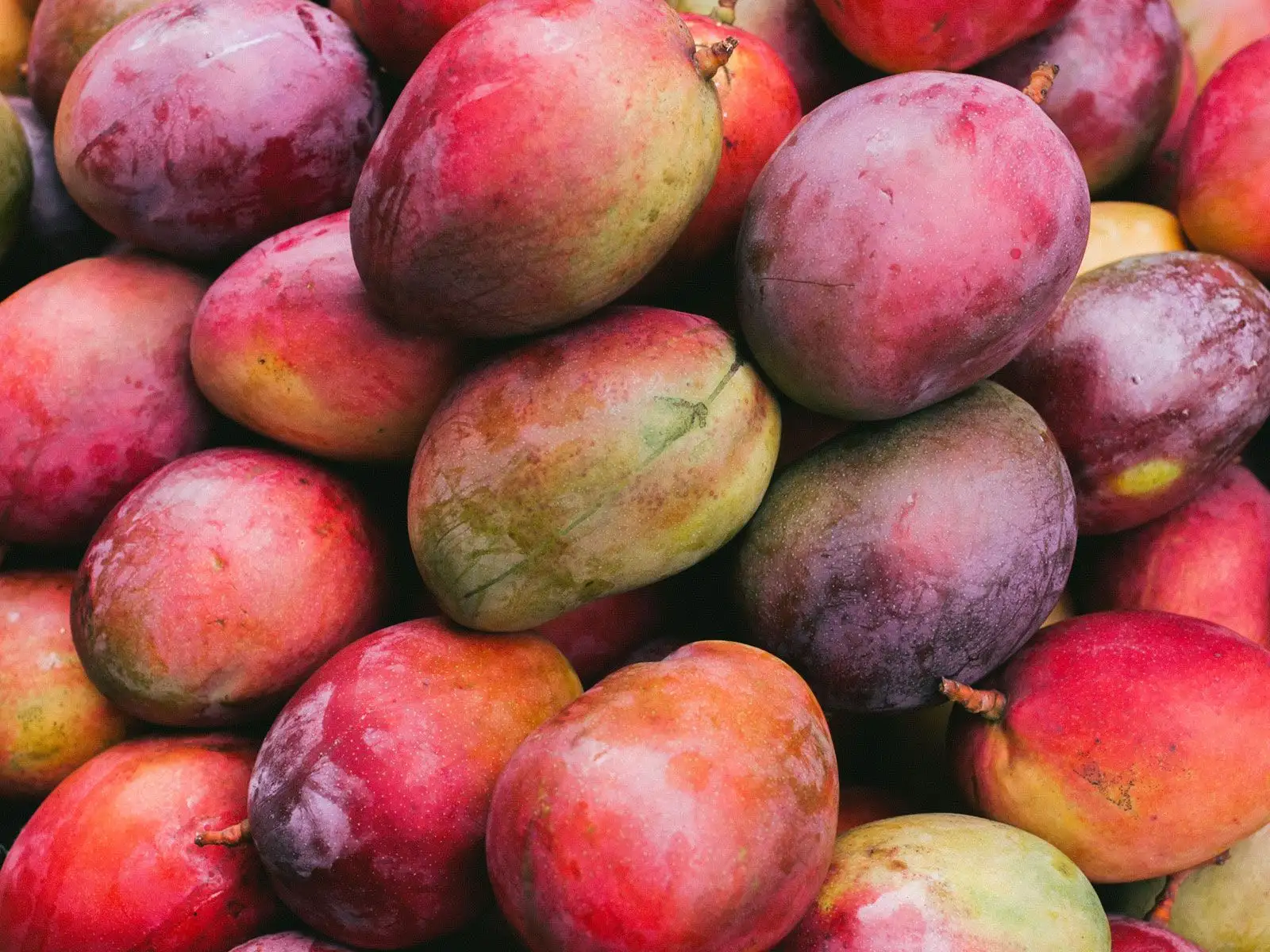 Mango: Delicioso y Nutritivo Fruto Tropical
