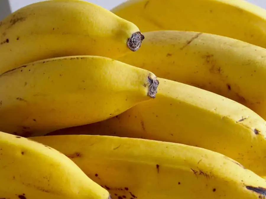 Plátano: Un Tesoro Nutritivo y Versátil